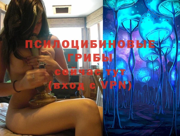 гашик Алзамай