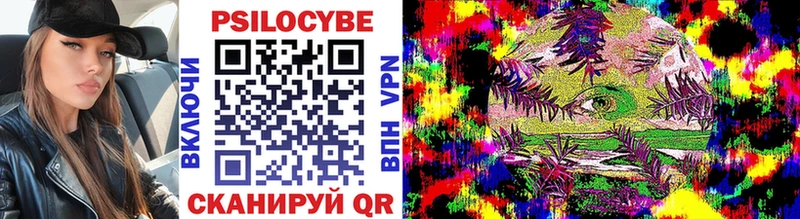 что такое Сенгилей blacksprut как зайти Псилоцибиновые грибы Cubensis
